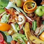 Food Waste Shredding